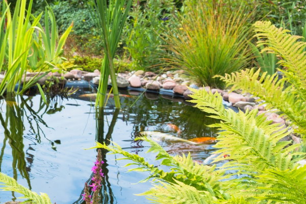 Gartenteich im Frühjahr